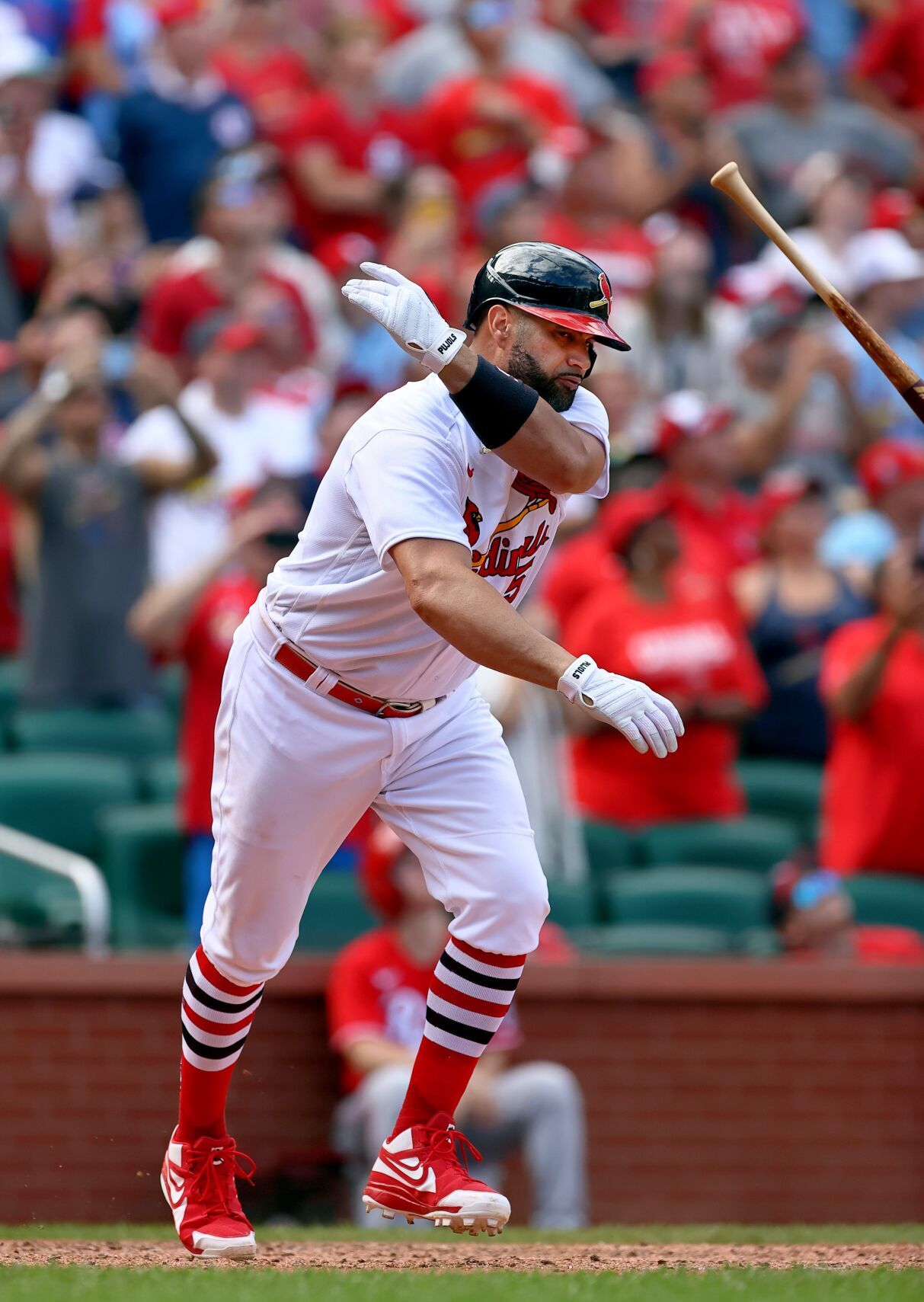 Cincinnati Reds vs St. Louis Cardinals